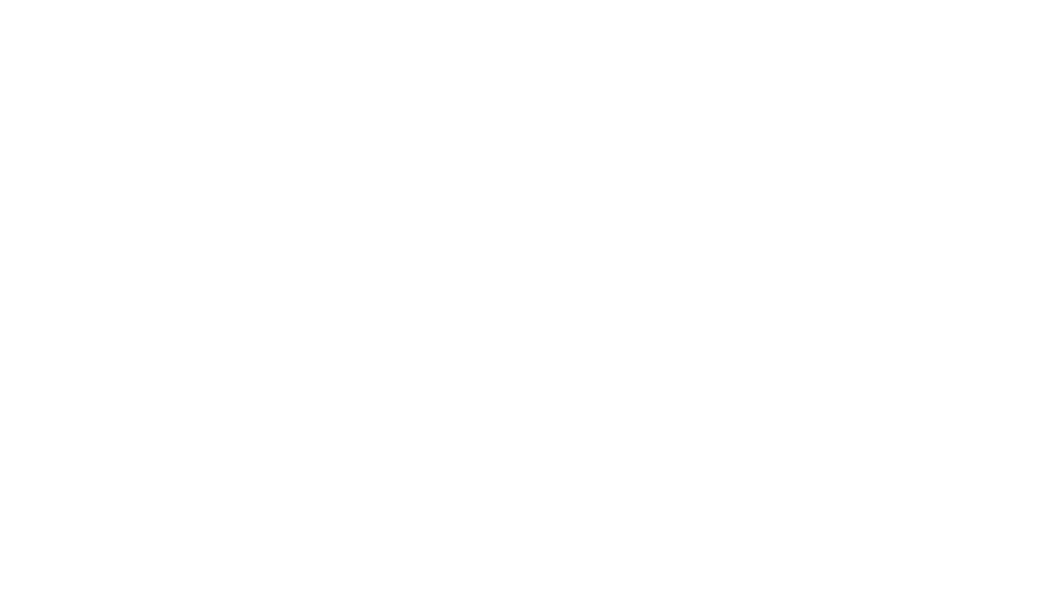 Rain Gutter Medic White Logo